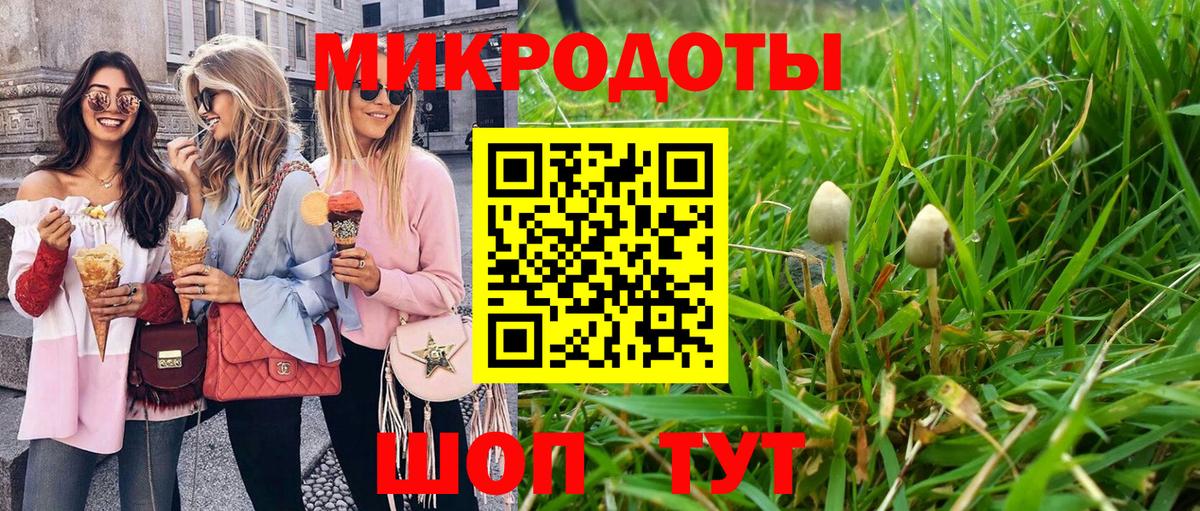 Псилоцибиновые грибы Psilocybine cubensis Сорочинск
